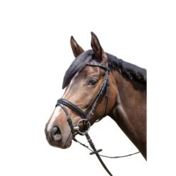 HKM Trense Luna Schwarz VB -Waldhausen Verkäufe 2024 12256 3.149e92