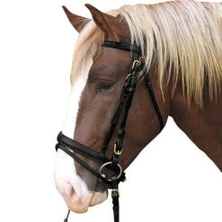 Kerbl Trensenzaum Kaltes Blut Braun XFull -Waldhausen Verkäufe 2024 4036767.ef2a2b