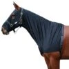 Harry's Horse Lycra Schulterschutz Hooded Schwarz -Waldhausen Verkäufe 2024 4038114.758c37