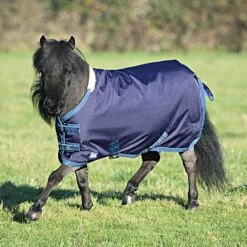 Tempest Original By Shires Turnout Decke Für Miniatur 200g Navy/Türkis -Waldhausen Verkäufe 2024 44479166.5842e6