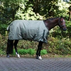 Horka Outdoordecke Dime 600D, 200g Dark Olive -Waldhausen Verkäufe 2024 44542961.54f8b2