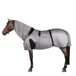 Horka Ekzemdecke Silber