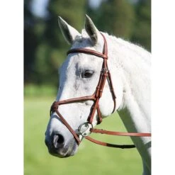 Avignon By Shires Trense Mexikanisch Schwarz -Waldhausen Verkäufe 2024 446062601.1a3e83