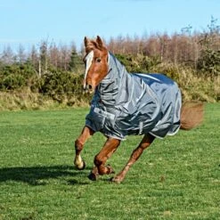 Bucas Halsstück Smartex Combi Neck Iron Gate -Waldhausen Verkäufe 2024 44633235.45ffee