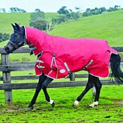 Weatherbeeta Heavy Turnout Rug Combo Neck Comfitec Classic 300g Red/Silver/Navy -Waldhausen Verkäufe 2024 44638389.6016b6
