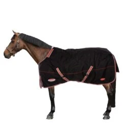 Weatherbeeta Therapy Rug Comfitec Premier Therapy-Tec Detach-A-Neck Lite Plus Schwarz/Silber/Rot -Waldhausen Verkäufe 2024 44638909 2.212d95