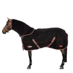 Weatherbeeta Therapy Rug Comfitec Premier Therapy-Tec Detach-A-Neck Lite Plus Schwarz/Silber/Rot -Waldhausen Verkäufe 2024 44638909.1d9d67