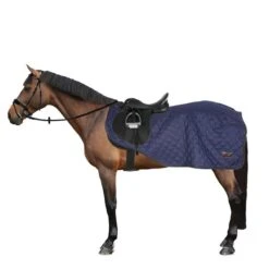 Kentucky Horsewear Kentucky Ausreitdecke 160g Navy -Waldhausen Verkäufe 2024 44669509.dc972b