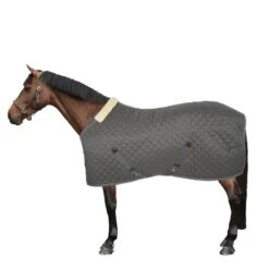 Kentucky Horsewear Kentucky Stalldecke 400g Dunkelgrün -Waldhausen Verkäufe 2024 44669527.651c6f