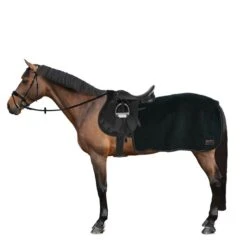 Kentucky Horsewear Ausreitdecke Quadratisch Heavy Fleece Grün -Waldhausen Verkäufe 2024 44743481.6d946a
