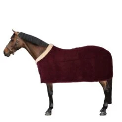 Kentucky Horsewear Kentucky Abschwitzdecke Show Fleece Heavy Navy -Waldhausen Verkäufe 2024 44743533.a85a57