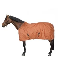 Kentucky Horsewear Kentucky Turnout All Weather 160g Braun -Waldhausen Verkäufe 2024 44850185.6475d1