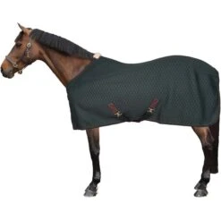 Kentucky Horsewear Kentucky Abschwitzdecke 4D Spacer Pine Green -Waldhausen Verkäufe 2024 45101602.8bfe8c