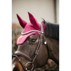 Kentucky Horsewear Kentucky Ohrnetz Wellington Velvet Dunkelgrün -Waldhausen Verkäufe 2024 485a8740.b8a64b