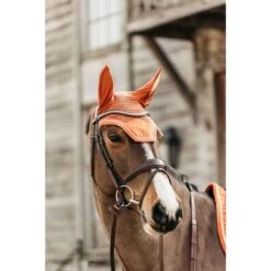 Kentucky Horsewear Kentucky Ohrnetz Wellington Velvet Dunkelgrün -Waldhausen Verkäufe 2024 485a8854.4d30f7