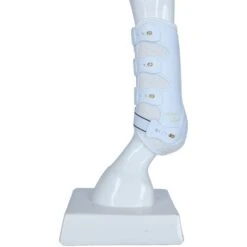 Back On Track Sehnenschutz Work Royal Weiß -Waldhausen Verkäufe 2024 agradi 44312993 4.ef6165