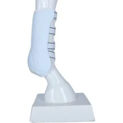 Back On Track Sehnenschutz Work Royal Weiß -Waldhausen Verkäufe 2024 agradi 44312993 5.07e983