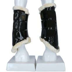 BR Beinschutz Majestic Lacquer Braun -Waldhausen Verkäufe 2024 agradi 44491788 2.ae8d17