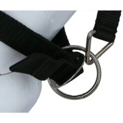 Kerbl Halfter Mit Integrierter Fliegemaske 13 Kerbl Halfter Mit Integrierter Fliegemaske -Waldhausen Verkäufe 2024 agradi 445274742 6.acf374