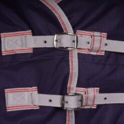 Weatherbeeta Medium Plus Turnout Rug Comfitec Essential Standard Neck 220g Navy/Silver/Red -Waldhausen Verkäufe 2024 agradi 44638249 1.aee964 1