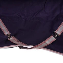 Weatherbeeta Medium Plus Turnout Rug Comfitec Essential Standard Neck 220g Navy/Silver/Red -Waldhausen Verkäufe 2024 agradi 44638249 4.373d5d 1