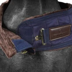 Kentucky Horsewear Kentucky Führanlagendecke 160g Navy -Waldhausen Verkäufe 2024 agradi 44669515 2.68fcb0
