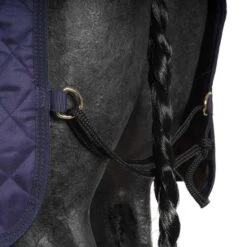Kentucky Horsewear Kentucky Führanlagendecke 160g Navy -Waldhausen Verkäufe 2024 agradi 44669515 5.0f715c