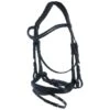 Kieffer Trense Rachel Schwedisch Mit Schnalle, Sperriemen, Schwarz Unterlegd Schwarz -Waldhausen Verkäufe 2024 agradi 44718427 1.23be17