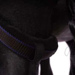 Weatherbeeta Winterdecke Comfitec Ultra Cozi IIDetach-A-Neck 220g Charcoal/Blau/Weiß -Waldhausen Verkäufe 2024 agradi 44747539 8.62bbe3