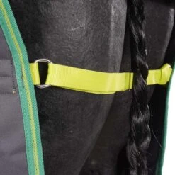 Amigo Turnout Medium Hero 900 200g Grey/Lime/Green -Waldhausen Verkäufe 2024 agradi 44811160 5.9bc0c6
