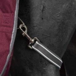 Weatherbeeta Winterdecke Comfitec Plus Dynamic II Detach-A-Neck Medium/Lite Maroon/Grau/Weiß -Waldhausen Verkäufe 2024 agradi 44874029 7.813667