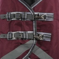 Weatherbeeta Regendecke Comfitec Plus Dynamic II Combo Neck Lite Grün/Grau/Rot -Waldhausen Verkäufe 2024 agradi 44874140 1.58b53d