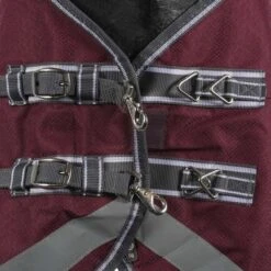 Weatherbeeta Regendecke Comfitec Plus Dynamic II Combo Neck Lite Grün/Grau/Rot -Waldhausen Verkäufe 2024 agradi 44874140 2.b4a5d7