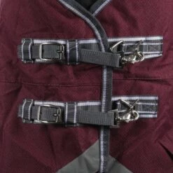 Weatherbeeta Regendecke Comfitec Plus Dynamic II Detach-A-Neck Lite Maroon/Grau/Weiß -Waldhausen Verkäufe 2024 agradi 44874154 1.72971c