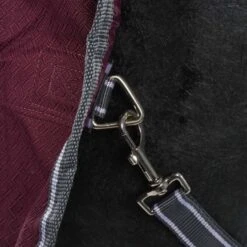 Weatherbeeta Regendecke Comfitec Plus Dynamic II Detach-A-Neck Lite Maroon/Grau/Weiß -Waldhausen Verkäufe 2024 agradi 44874154 7.21bfe8