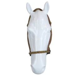 F.R.A. Gebisslose Trense Igor Integrierte Zügel Baumwolle Rot/Gelb -Waldhausen Verkäufe 2024 agradi 44874734 3.dadeec 2