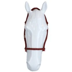 F.R.A. Gebisslose Trense Igor Integrierte Zügel Baumwolle Rot/Gelb -Waldhausen Verkäufe 2024 agradi 44874736 3.5af9fd 2