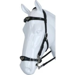 F.R.A. Hackamore Imperial Softleder Zügel Havanna -Waldhausen Verkäufe 2024 agradi 44874743 2.809c17