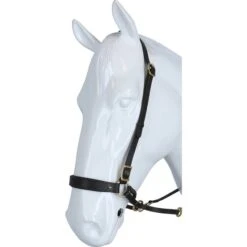 F.R.A. Gebisslose Trense Janosch Schwarz -Waldhausen Verkäufe 2024 agradi 44874768 2.886f7e