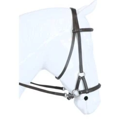 F.R.A. Gebisslose Trense Pardoes Side Pull Braun -Waldhausen Verkäufe 2024 agradi 44874996 4.324fc9