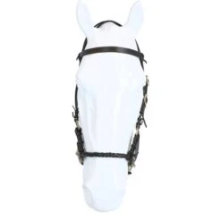 F.R.A. Gebisslose Trense Pariba Side Pull Lederen Zügel Schwarz -Waldhausen Verkäufe 2024 agradi 44875008 3.bc8a21