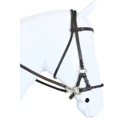 F.R.A. Gebisslose Trense Pariba Side Pull Lederen Zügel Schwarz -Waldhausen Verkäufe 2024 agradi 44875008 4.ef5792