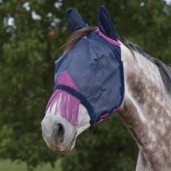 Weatherbeeta Fliegenmaske Comfitec Deluxe Durable Mesh Mit Ohren Und Fransen Navy/Lila 12 Weatherbeeta Fliegenmaske Comfitec Deluxe Durable Mesh Mit Ohren Und Fransen Navy/Lila -Waldhausen Verkäufe 2024 agradi 44946874 4.0015f3