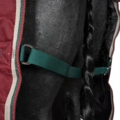 Tempest Original Winterdecke Turnout 200g Combo Maroon -Waldhausen Verkäufe 2024 agradi 44988259 6.85da29