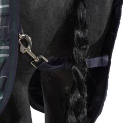 Rhino By Horseware Wug Turnout Lite 100g Hunter Check -Waldhausen Verkäufe 2024 agradi 44998657 6.26c5f1