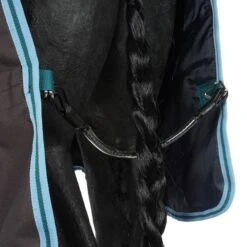 Amigo By Horseware Bravo 12 Plus Turnout Medium Disc Excalibur -Waldhausen Verkäufe 2024 agradi 44998722 8.aa67ac 1