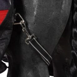 Weatherbeeta Winterdecke Comfitec Plus Dynamic II Detach-A-Neck Medium Schwarz/Rot/Silber -Waldhausen Verkäufe 2024 agradi 45009427 9.014e11