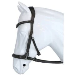 F.R.A. Zaum Runa 3 In 1 Schwarz -Waldhausen Verkäufe 2024 agradi 45038583 1.3981ad