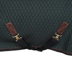 Kentucky Horsewear Kentucky Abschwitzdecke 4D Spacer Pine Green -Waldhausen Verkäufe 2024 agradi 45101602 4.cc3ddb