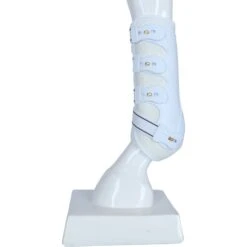 Harry's Horse Beinschutz Elite-R Grand Prix Schwarz Vollblut -Waldhausen Verkäufe 2024 agradi a1113397 4.726e63